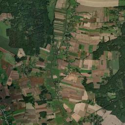 Satelita
