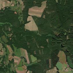 Satelita