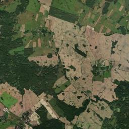 Satelita