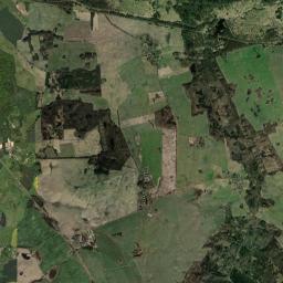 Satelita