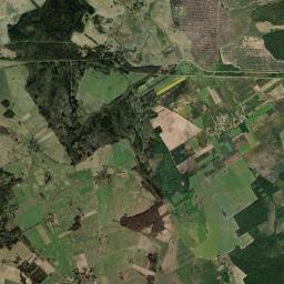 Satelita
