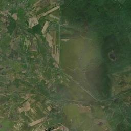 Satelita