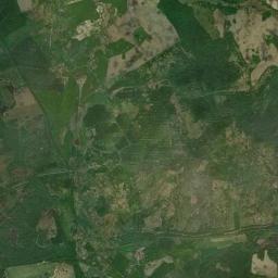 Satelita