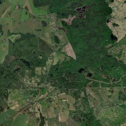 Satelita