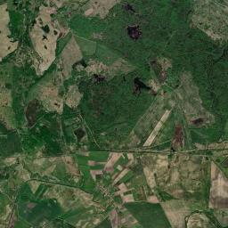 Satelita