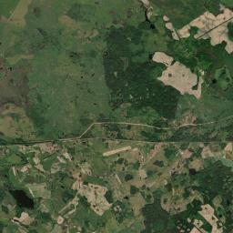Satelita