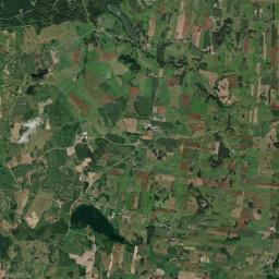 Satelita