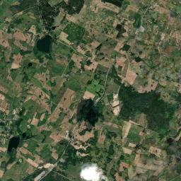Satelita