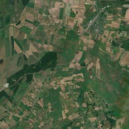 Satelita