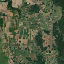Satelita