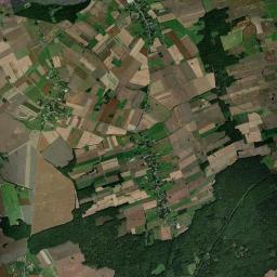 Satelita