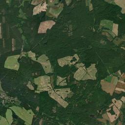 Satelita