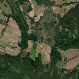 Satelita