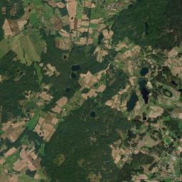 Satelita