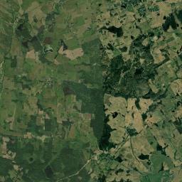 Satelita