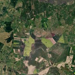 Satelita