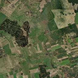 Satelita