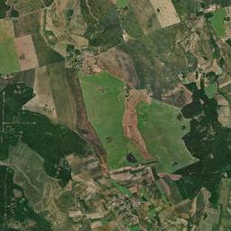 Satelita