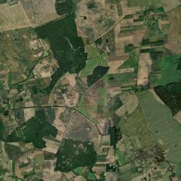 Satelita