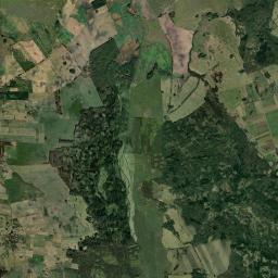 Satelita