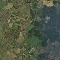 Satelita