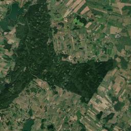 Satelita