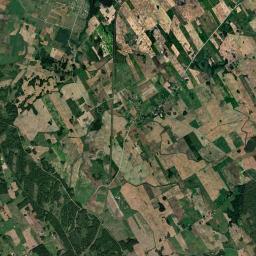 Satelita
