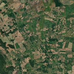 Satelita