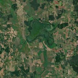 Satelita