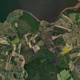Satelita