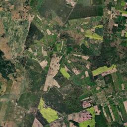 Satelita