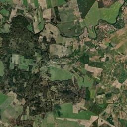 Satelita