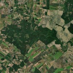 Satelita