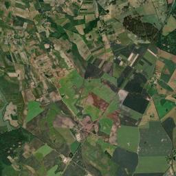 Satelita