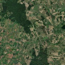 Satelita