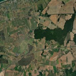 Satelita