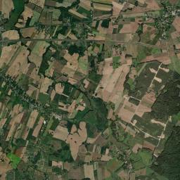 Satelita