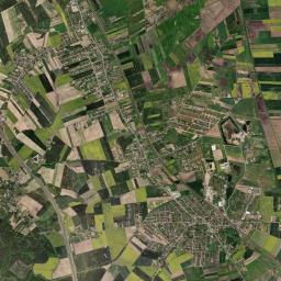 Pszczółki Satellite Map