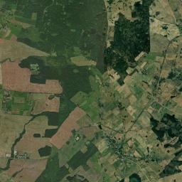 Satelita