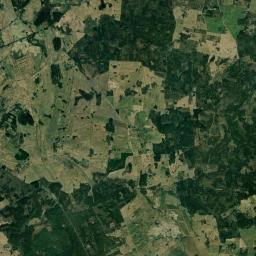 Satelita