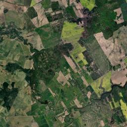 Satelita