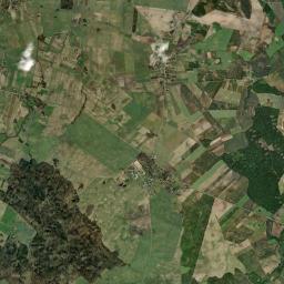 Satelita