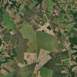 Satelita