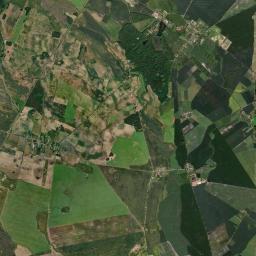 Satelita