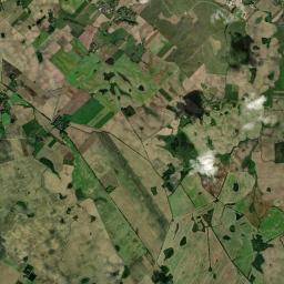 Satelita