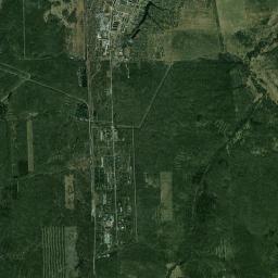 Lesnoy Satellite Map