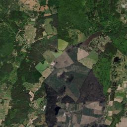 Satelita