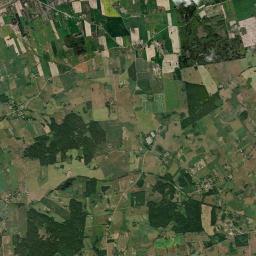 Satelita