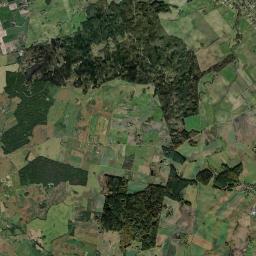 Satelita