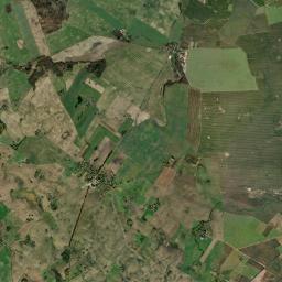 Satelita